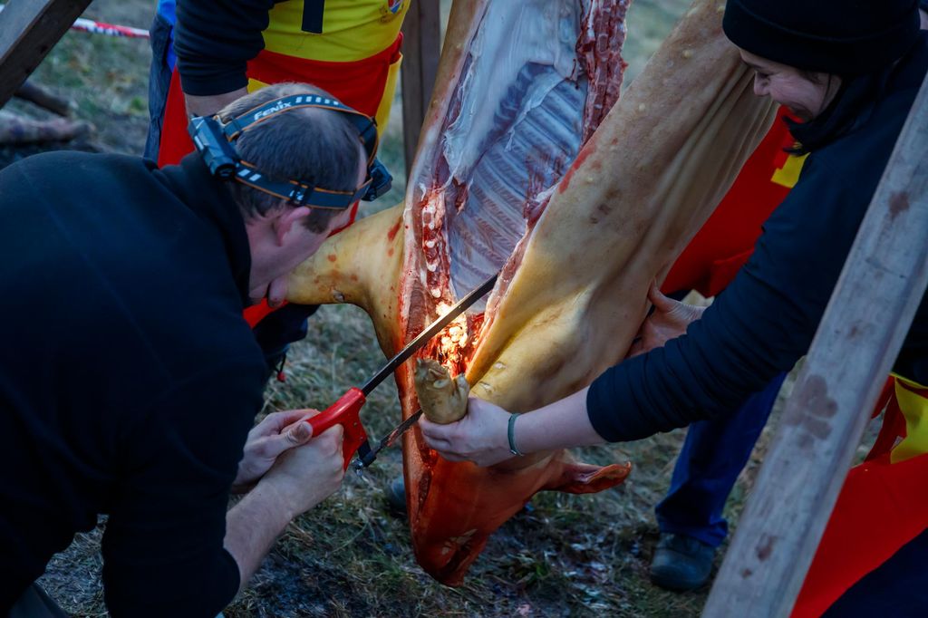 20240210 -- Győrvári Böllérfesztivál // fotó:Hatlaczki Balázs