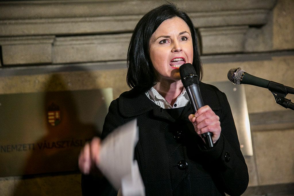 Tüntetést szerveztek az ellenzéki pártok a Nemzeti Választási Iroda székházánál történt incidens miatt 2016.02.23. Fotó:Horváth Péter Gyula