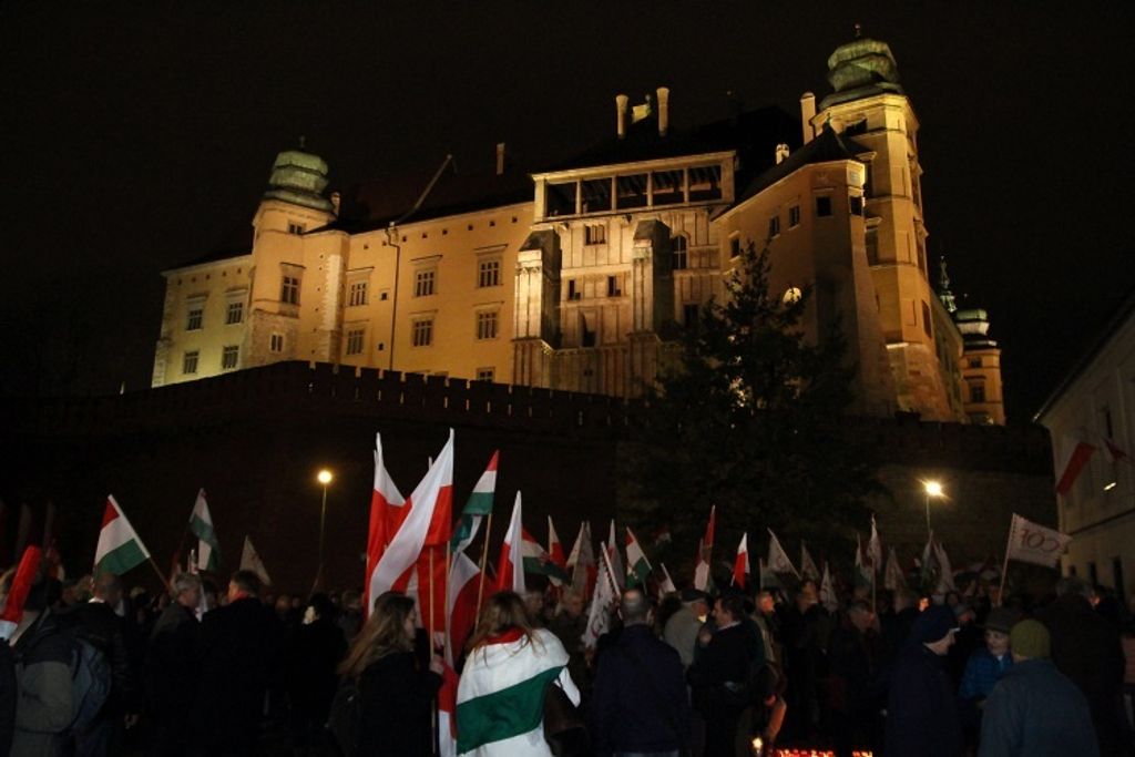 cof krakko mernyoferenc 08
