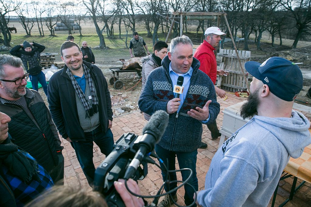Disznóvágás 12-HPGy