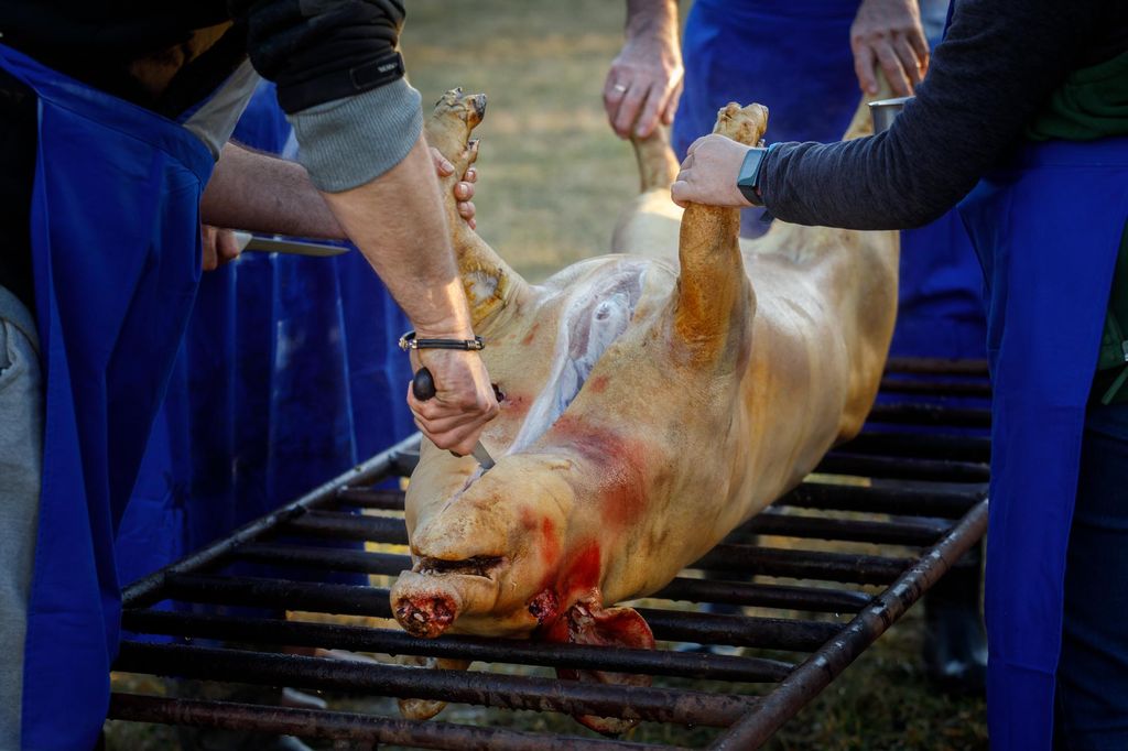 20240210 -- Győrvári Böllérfesztivál // fotó:Hatlaczki Balázs