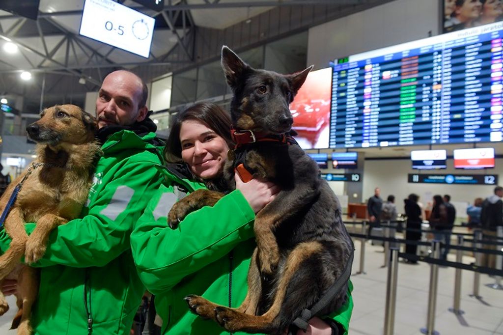 FARKAS Péter; KOVÁCS Ilka;