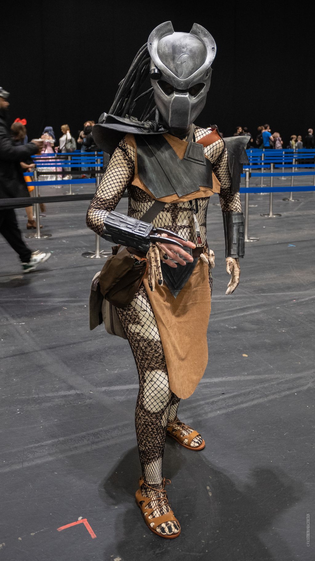 Foto_Vass Zoltan_Predator