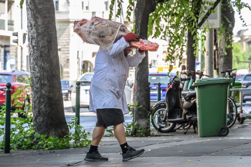 20230714 Húst cípelő hentes // fotó: Hatlaczki Balázs
