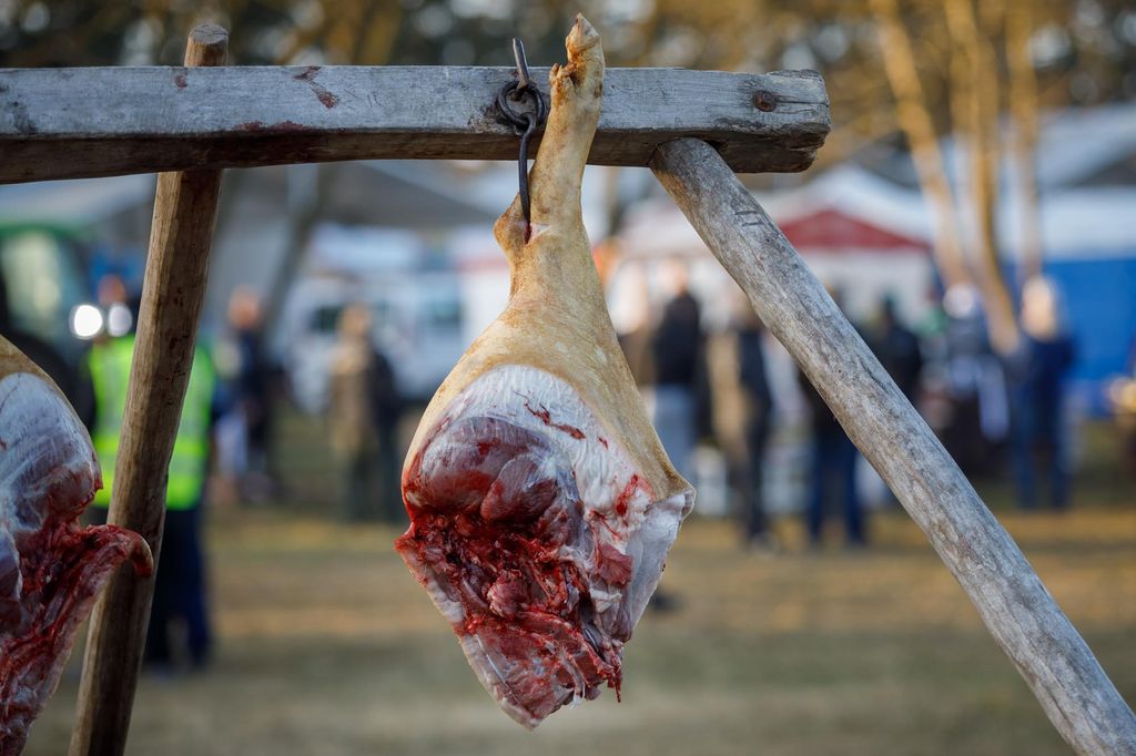20240210 -- Győrvári Böllérfesztivál // fotó:Hatlaczki Balázs