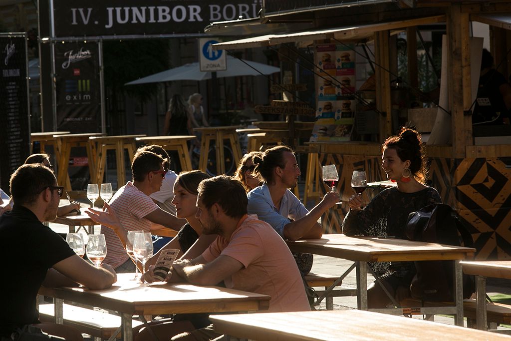 Junibor 1-HPGy