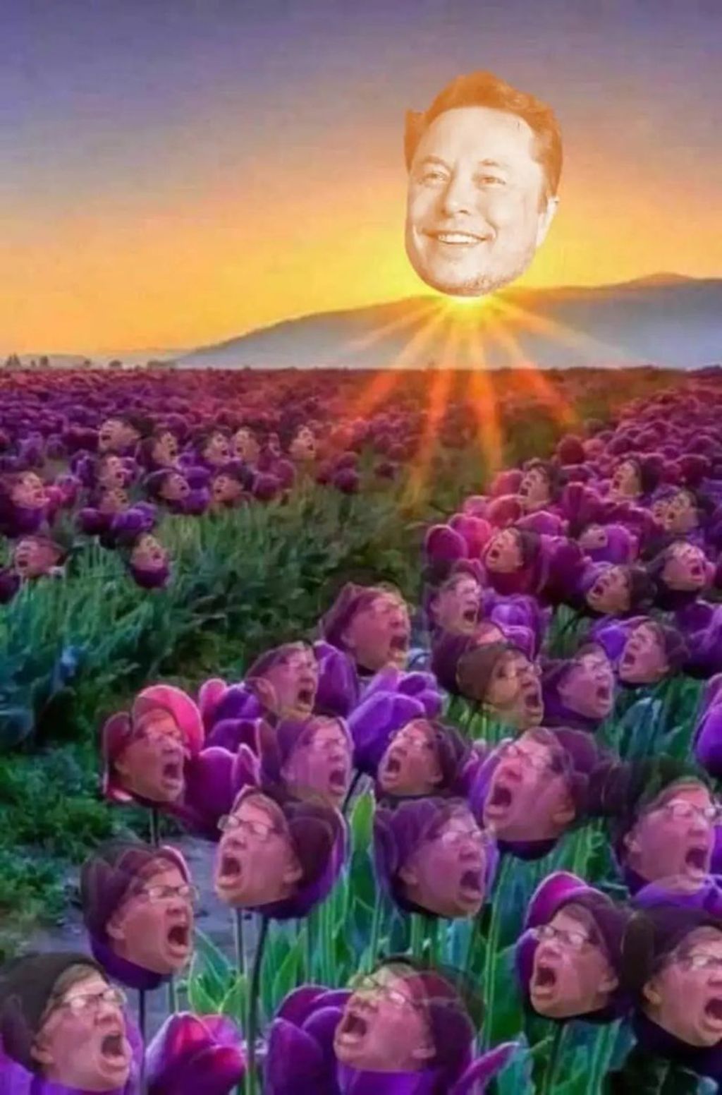 Forrás: Twitter \ Elon Musk twitter meme