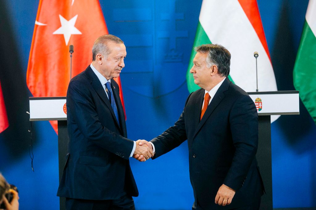 Erdogan 1-HPGy