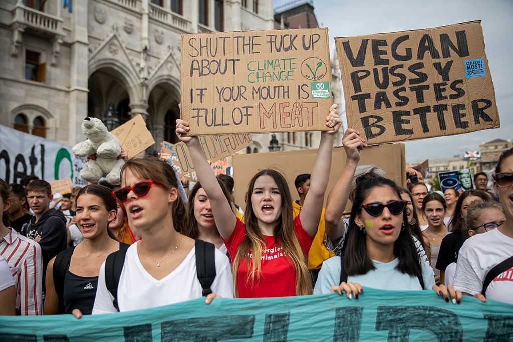 Demonstráció a harmadik globális klímasztrájk keretében Budapesten 11-HPGy
