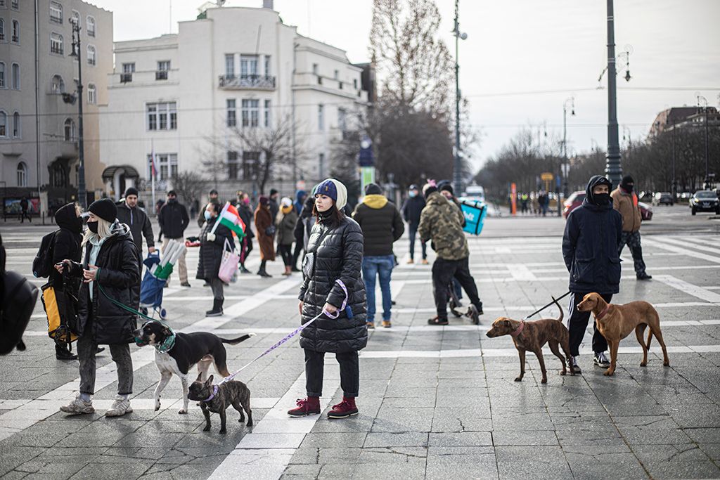 Tüntetnek a tömeges üzletnyitásért32-HPGy