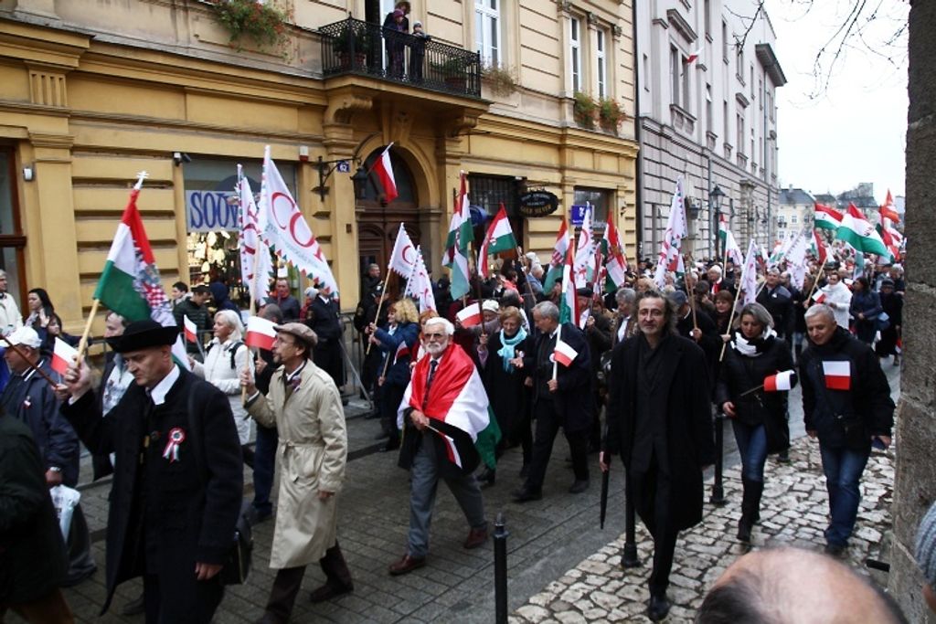 cof krakko mernyoferenc 16