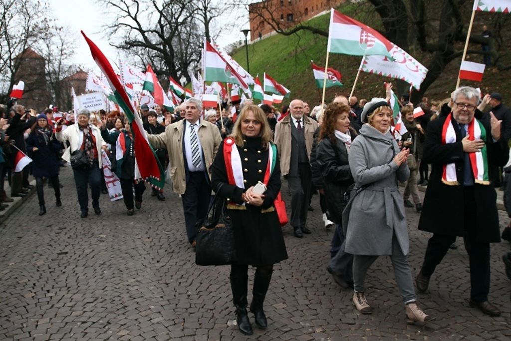 cof krakko mernyoferenc 15