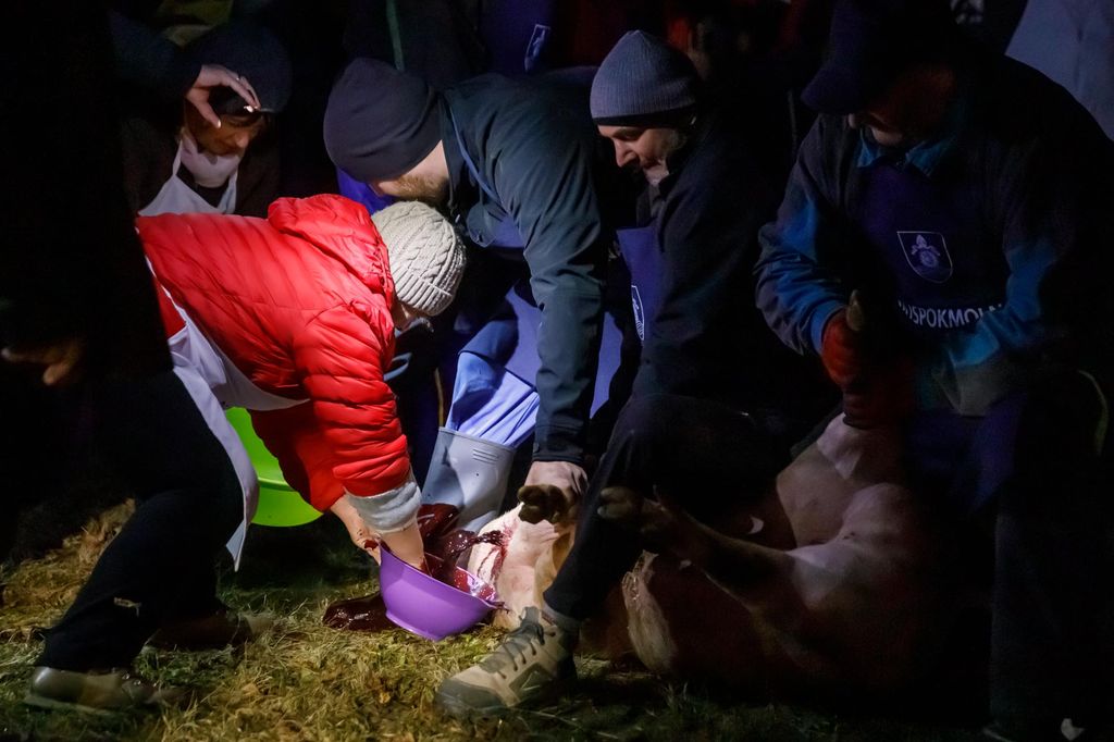 20240210 -- Győrvári Böllérfesztivál // fotó:Hatlaczki Balázs