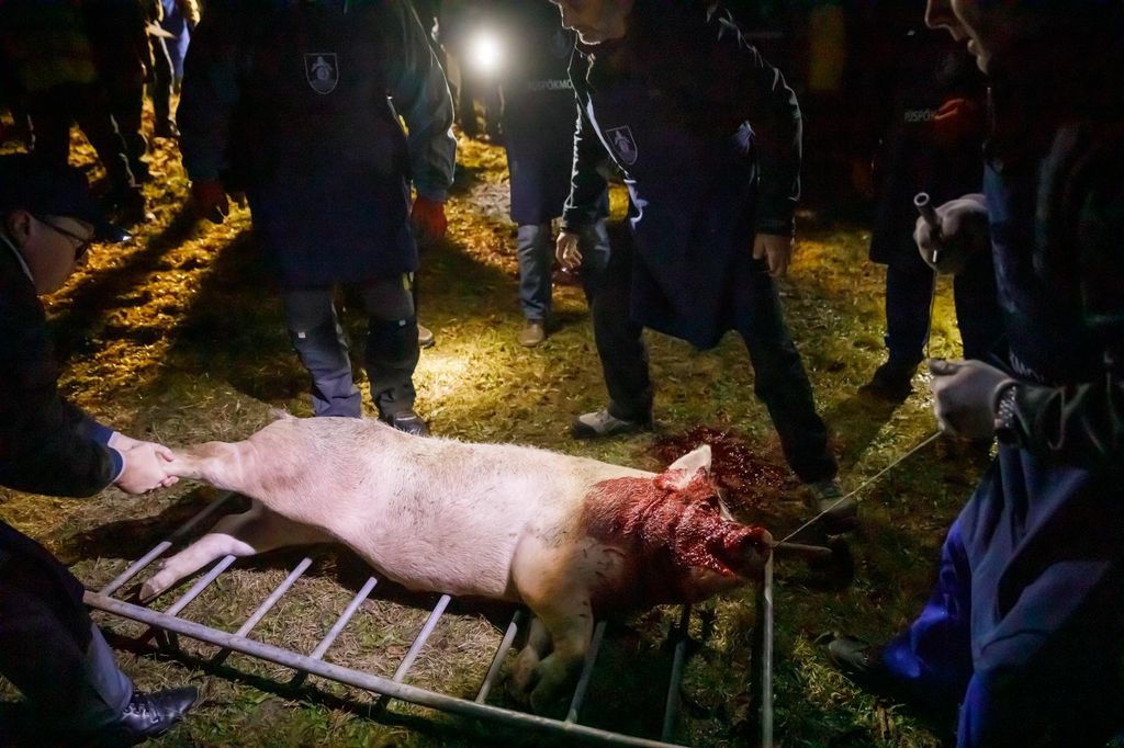 20240210 -- Győrvári Böllérfesztivál // fotó:Hatlaczki Balázs