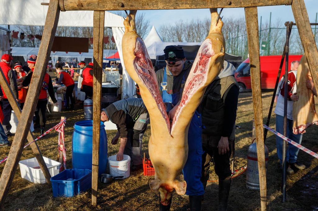 20240210 -- Győrvári Böllérfesztivál // fotó:Hatlaczki Balázs