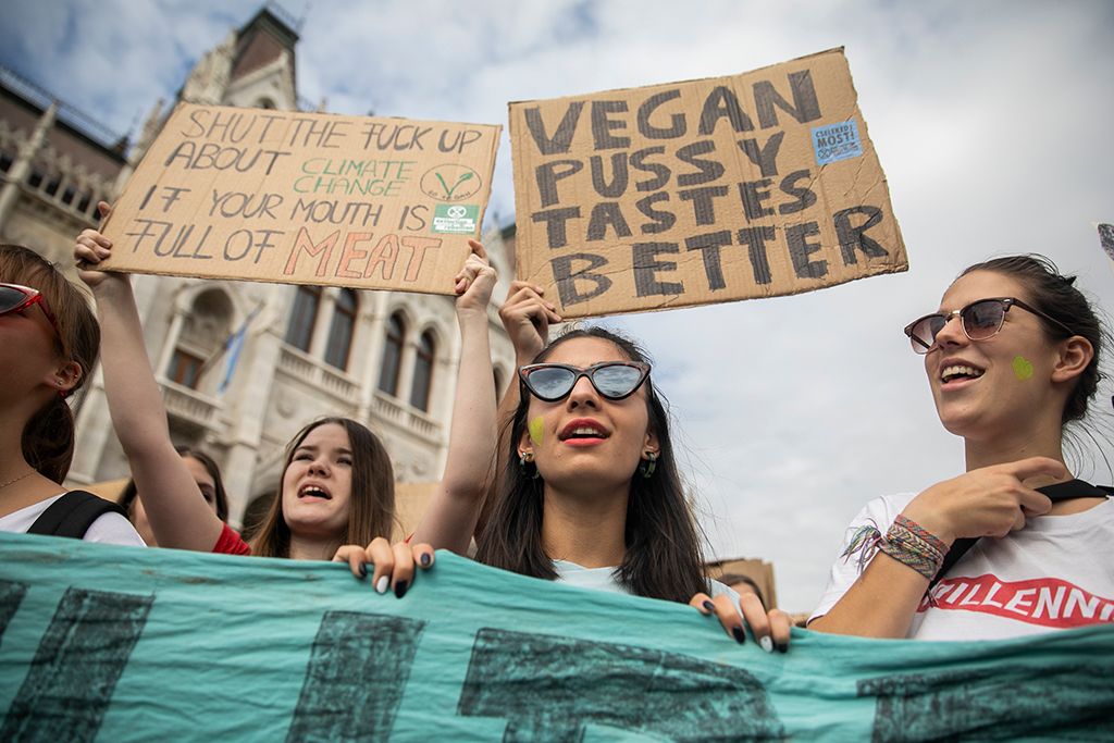 Demonstráció a harmadik globális klímasztrájk keretében Budapesten 15-HPGy