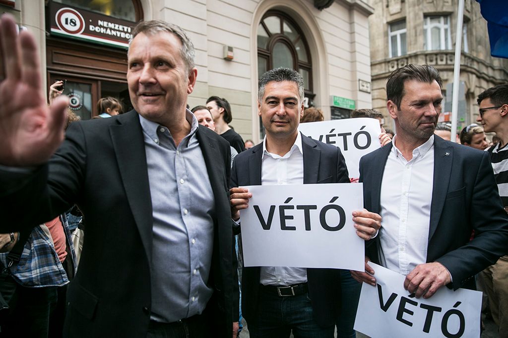 Résztvevők az Oktatási szabadságot csoport Élőlánc a CEU körül címmel meghirdetett demonstrációján Fotó: Horváth Péter Gyula