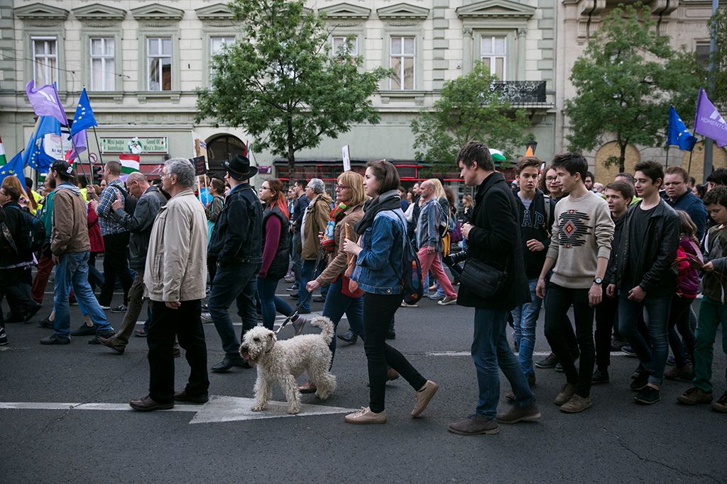 Momentum Mozgalom Európához tartozunk! jelmondattal meghirdetett demonstrációja Fotó: Horváth Péter Gyula