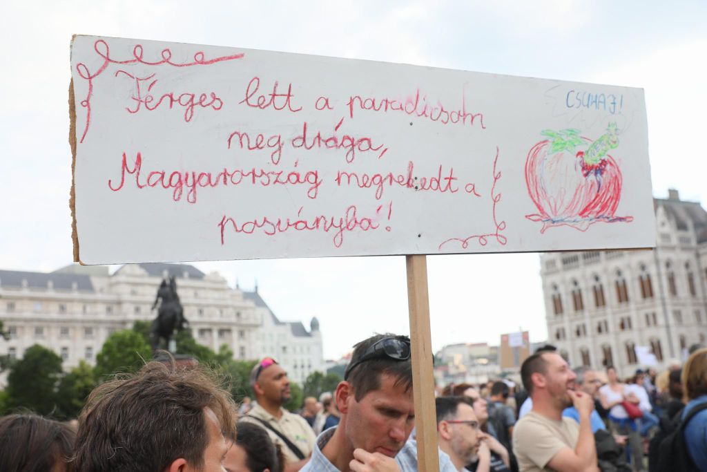 20230616 Tanár-diák tüntetés a státusztörvény ellen // Hatlaczki Balázs