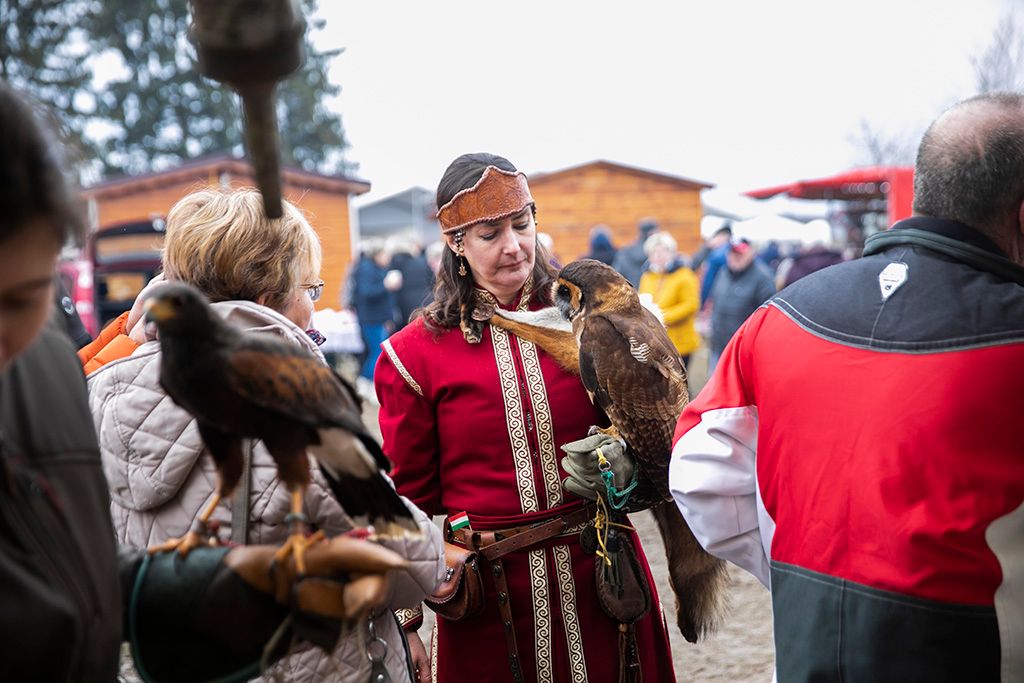 Magyarország legnagyobb disznóvágásán, Győrváron 27-HPGy