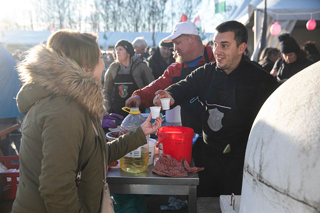 Magyarország legnagyobb disznóvágásán, Győrváron 29-HPGy