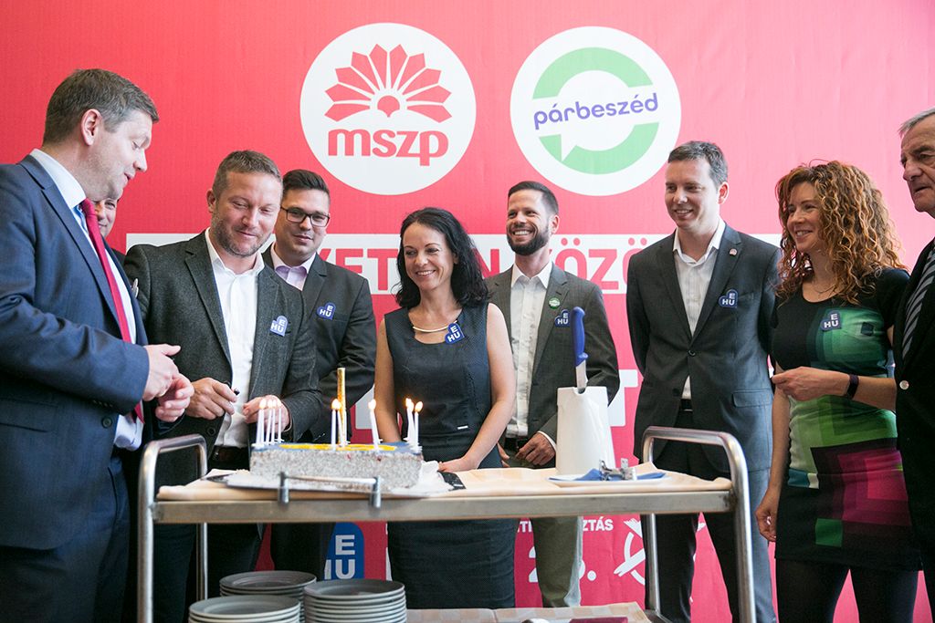 MSZP EU 15-HPGy