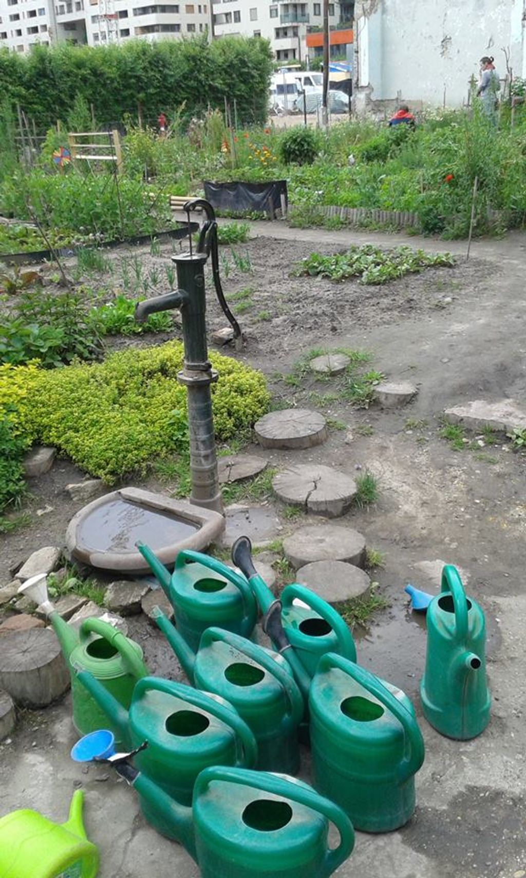 kozossegi kert 12