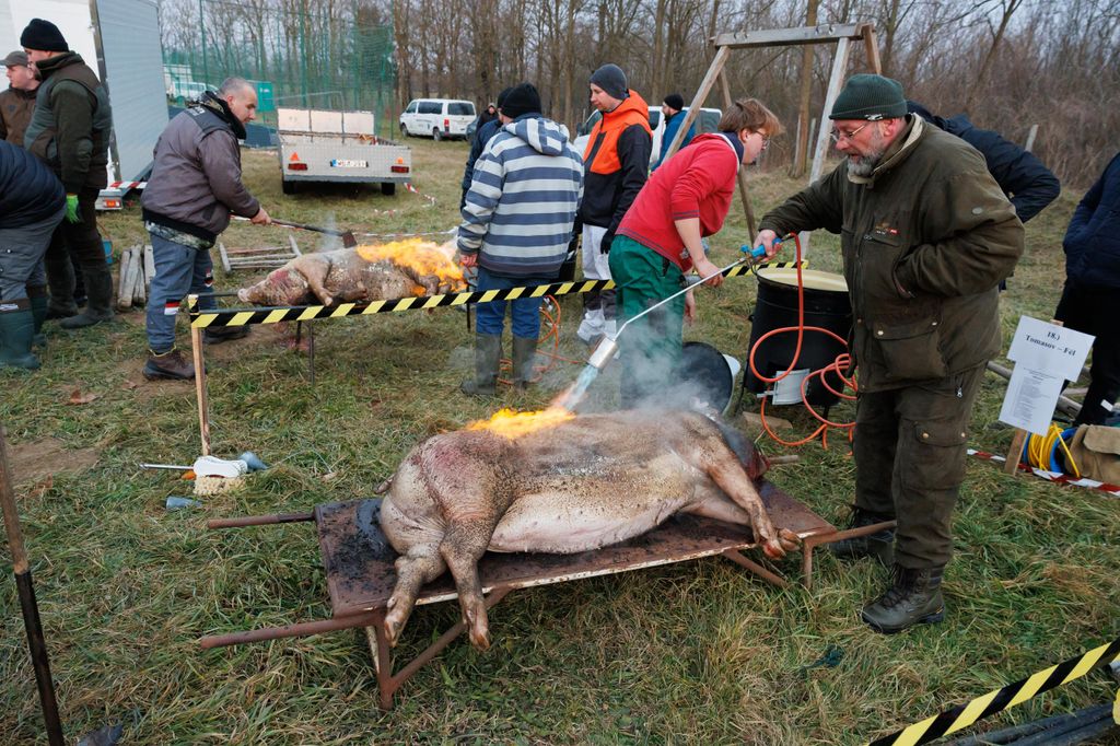 20250215 -- Győrvár, böllérfesztivál // fotó: Hatlaczki Balázs