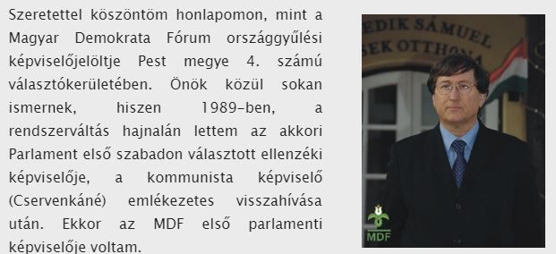 Roszik Gábor honlapja (volt) / Forrás: Www.bortontarsasag.hu