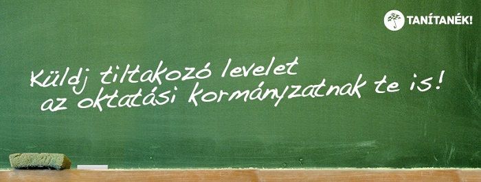 tanitanek-2 facebook