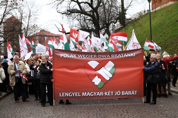 cof krakko mernyoferenc 14