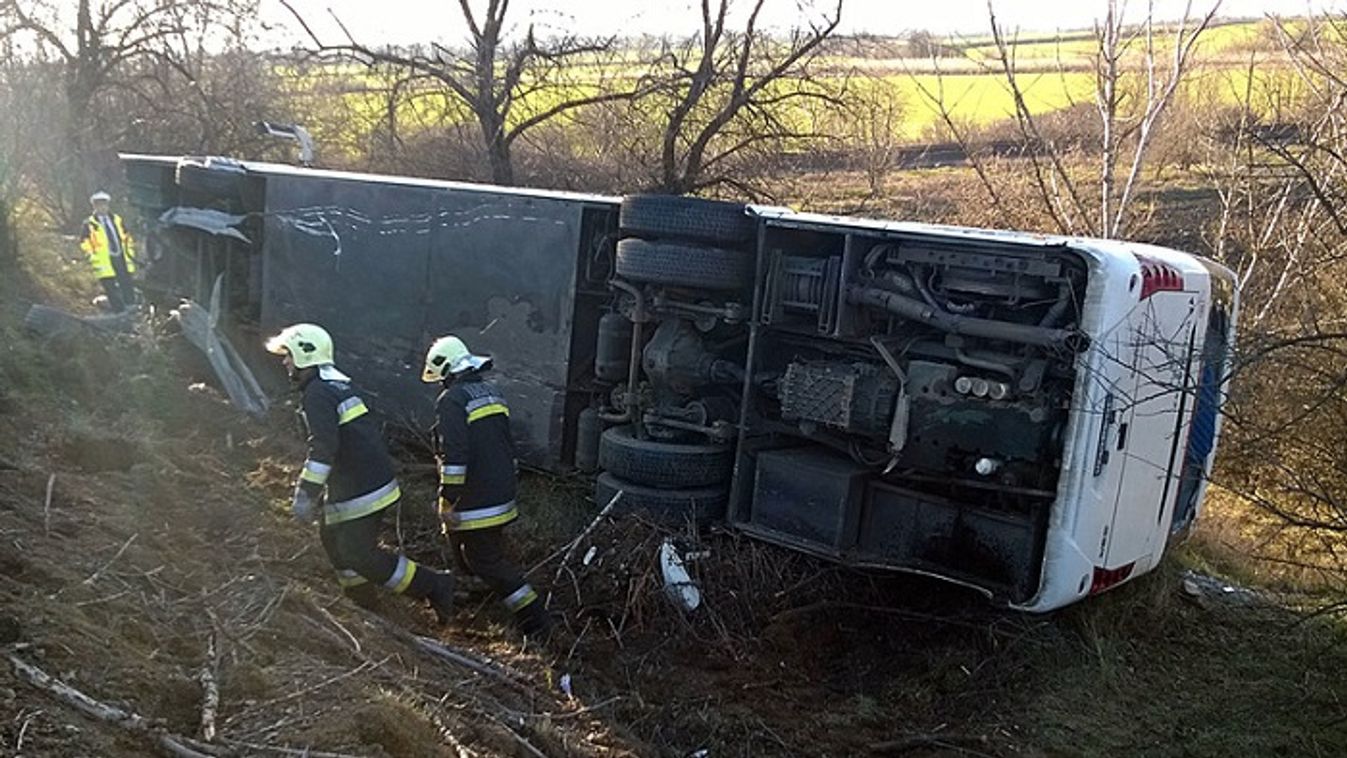 Az orvosok fele nem méri az aluszékonyságot a buszsofőröknél