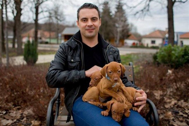 Vona Gábor pártelnök és a cukiságfaktor. Fotó: facebook.com