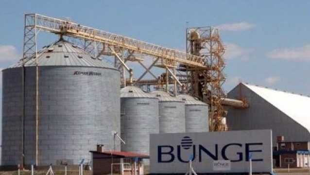 BUNGE