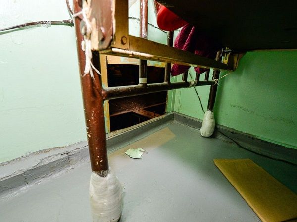 ap_escape_cell_150607_4x3_992