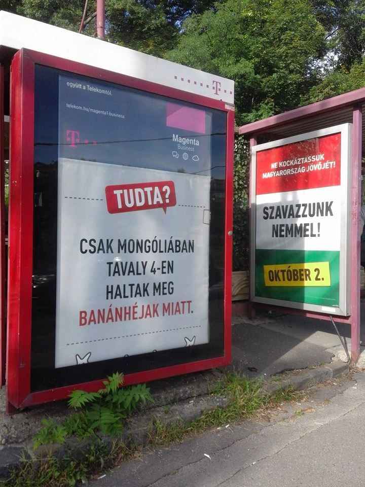 ketfarkuak4