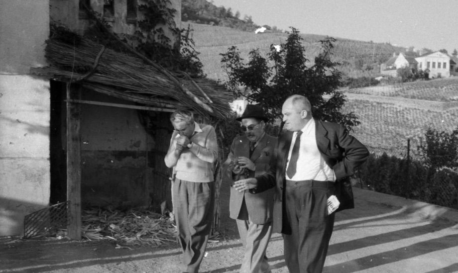 Egy nappal a forradalom előtt. Még szüretel... / Fotó: Fortepan.hu, ad.: Kotnyek Antal