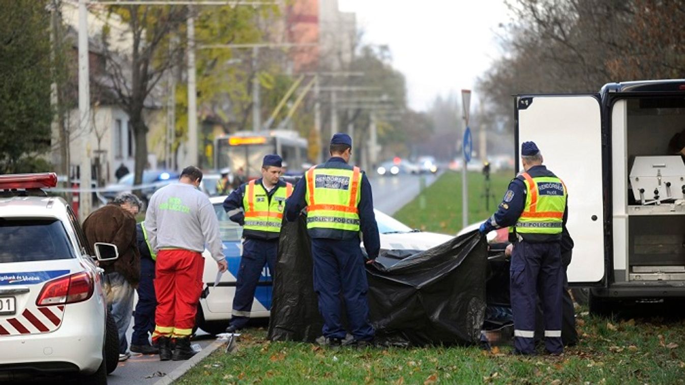 Ha kétmilliót leszurkol, hazaengedik a gázoló nőt