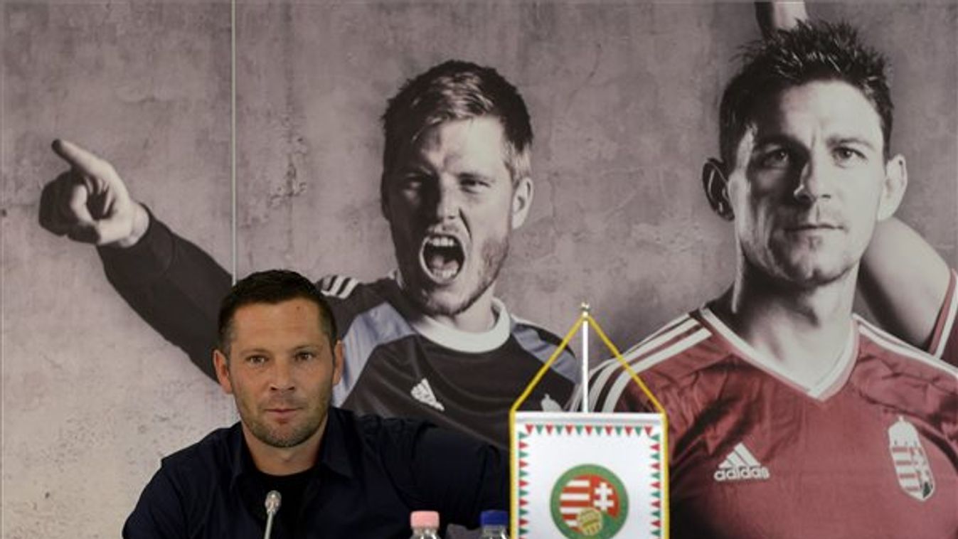 Dárdai elhagyja a válogatottat