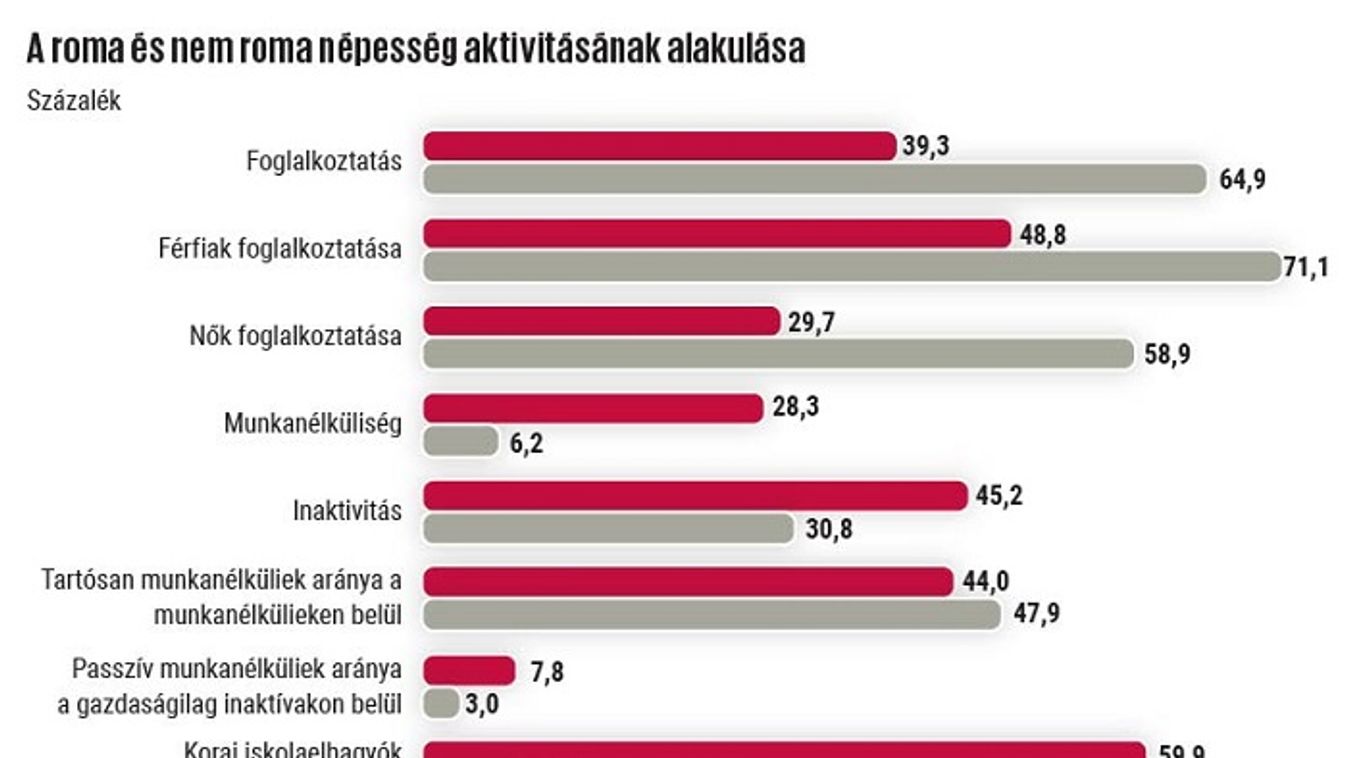 Lesújtó végzettségi és foglalkoztatottsági adatok a hazai cigányságró