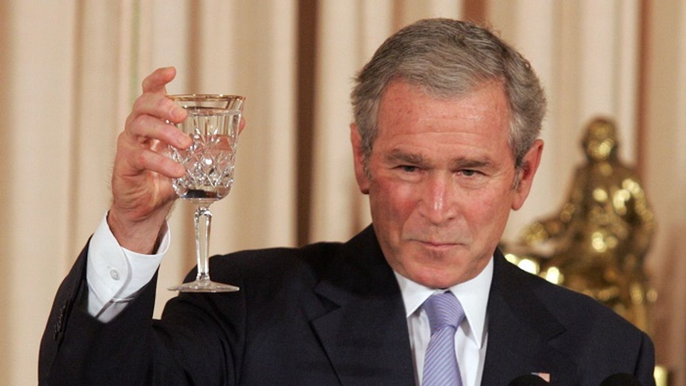Bush szerint a világ jobb lett Szaddám Huszein nélkül