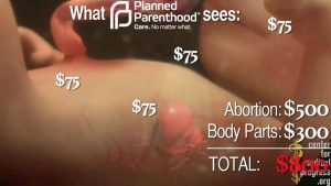 ppsellsbabyparts