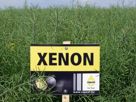 XENON(1)