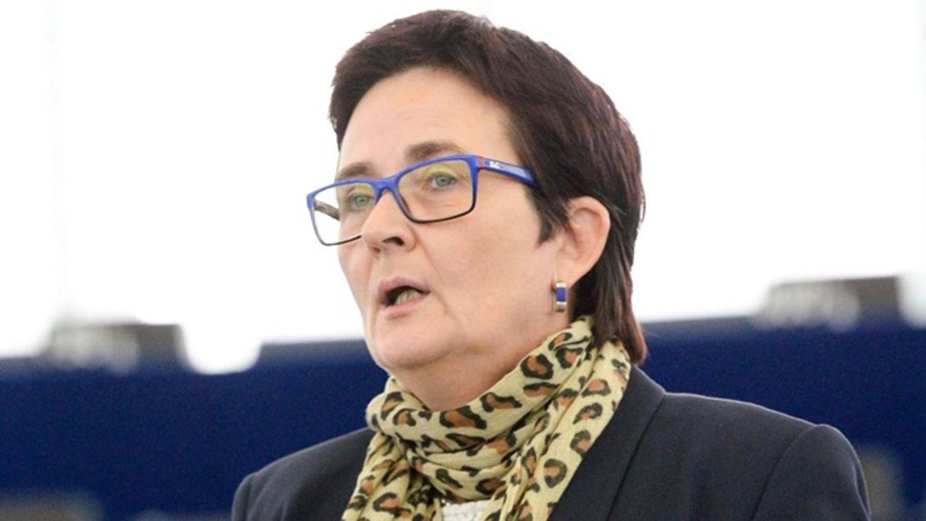 Német szociáldemokrata EP képviselő szerint meg kell szervezni a migrációt