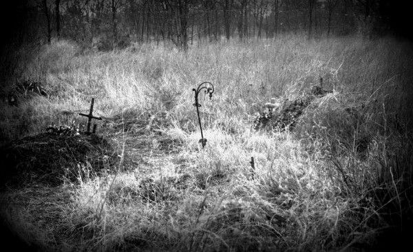 A 301-es parcella a Kádár-rendszer bukásának évében