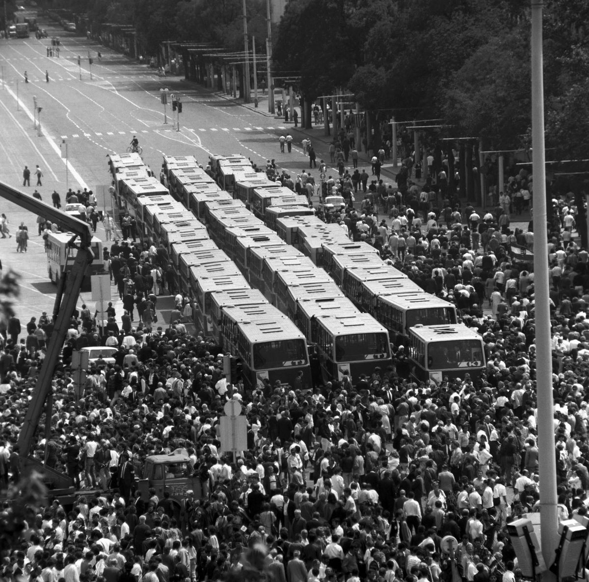 Autóbuszokkal érkeztek a gyászolók Nagy Imre és társai gyászszertartására a Hõsök terére / Fotó: MTI
