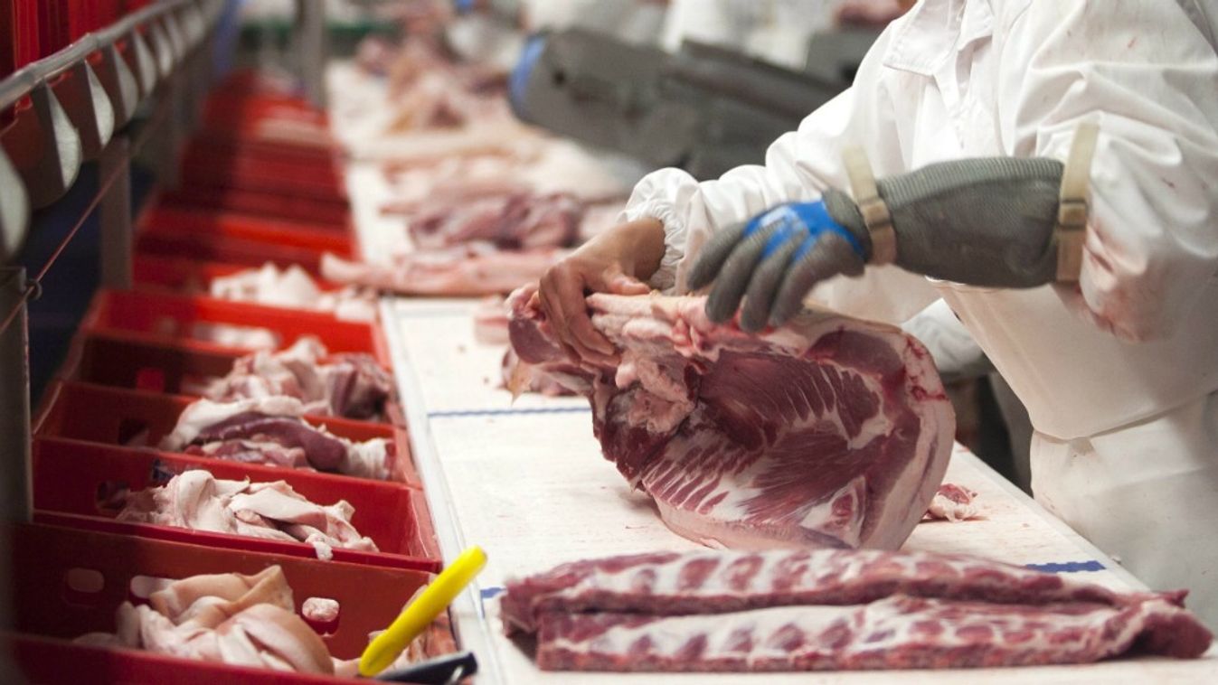 Hepatitisszel fertőzőtt húsok után nyomoz a Nébih