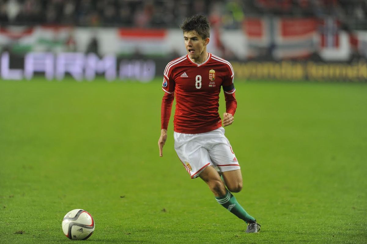 Nagy Ádám / Fotó: MTI.com