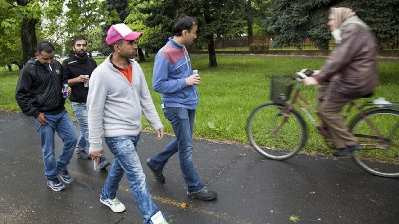Kilenc illegális migráns sétált Hercegszántón