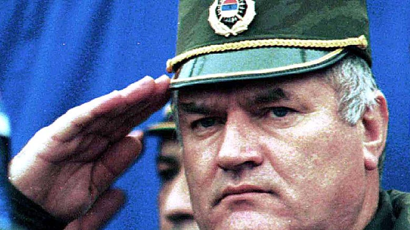 Szerb orvosi vizsgálatot követel Ratko Mladic számára a családja